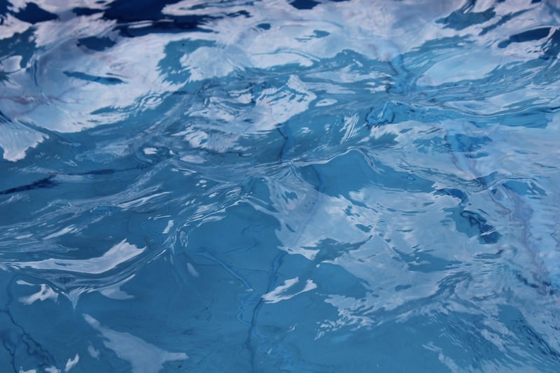 Conscious Swimming